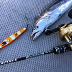 Chase（チェイス） 釣果