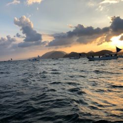 末広丸(熊本) 釣果