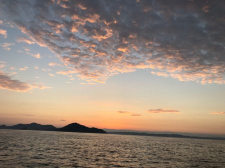 末広丸(熊本) 釣果