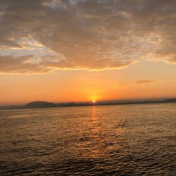 末広丸(熊本) 釣果