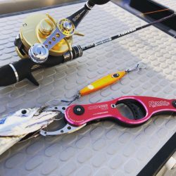 Chase（チェイス） 釣果