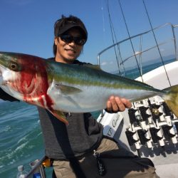 SeaRide(シーライド) 釣果