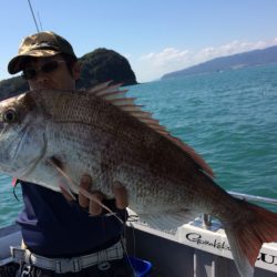 SeaRide(シーライド) 釣果