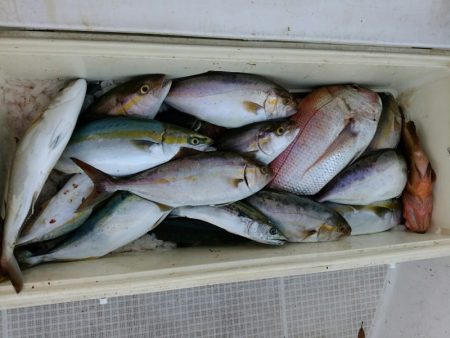 bay style 釣果