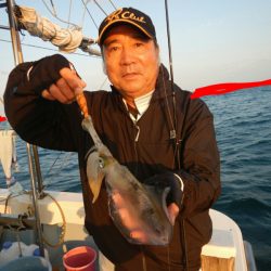 きずなまりん 釣果