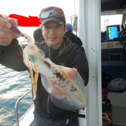 きずなまりん 釣果