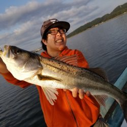 アマテラス 釣果