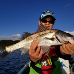 アマテラス 釣果