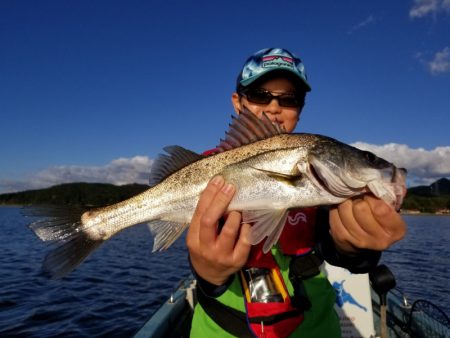 アマテラス 釣果