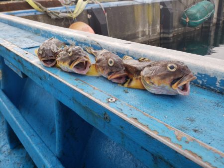 さち丸 釣果