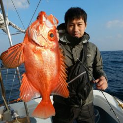 きずなまりん 釣果