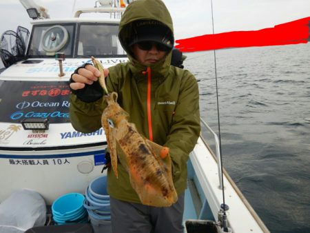 きずなまりん 釣果
