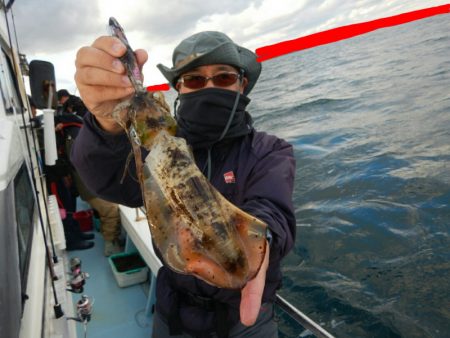 きずなまりん 釣果