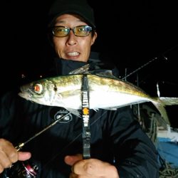 シースナイパー海龍 釣果