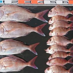 遊漁船 家入 釣果