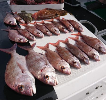 遊漁船 家入 釣果