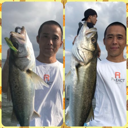 アマテラス 釣果