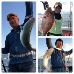 ビッグファイター 釣果