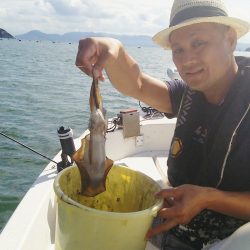 マリンガイド福丸 釣果