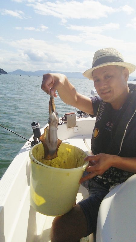 マリンガイド福丸 釣果