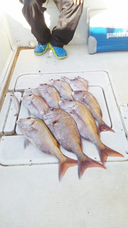 マリンガイド福丸 釣果