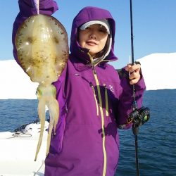 マリンガイド福丸 釣果