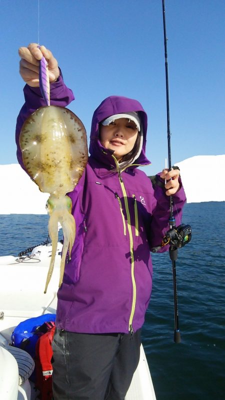 マリンガイド福丸 釣果