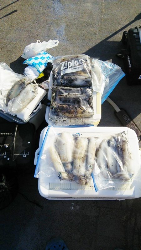 マリンガイド福丸 釣果