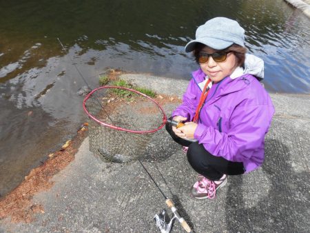 平谷湖フィッシングスポット 釣果