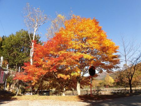 平谷湖フィッシングスポット 釣果