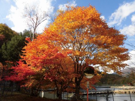 平谷湖フィッシングスポット 釣果