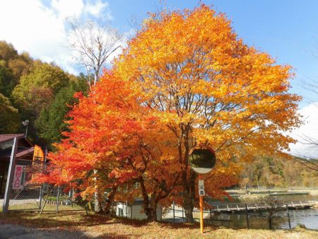 平谷湖フィッシングスポット 釣果