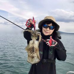 South Current 釣果