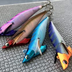 South Current 釣果