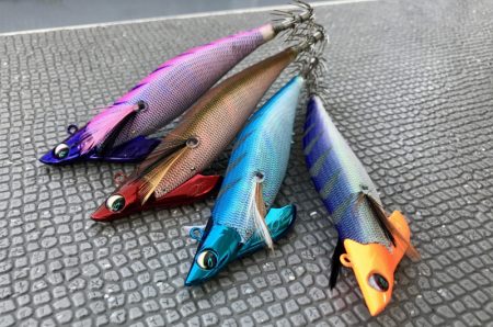 South Current 釣果