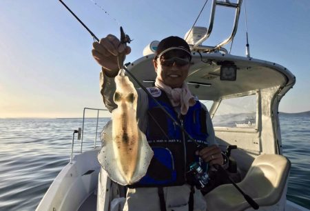 South Current 釣果