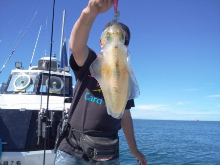 ひな丸 釣果