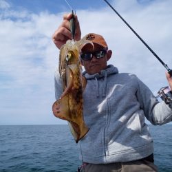 ひな丸 釣果
