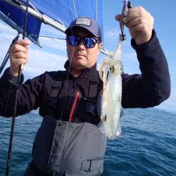 ひな丸 釣果