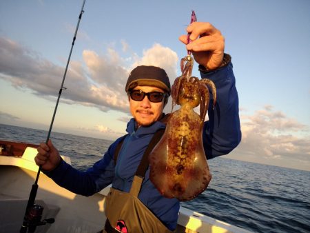 ひな丸 釣果