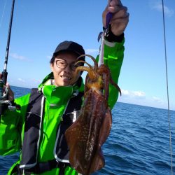 ひな丸 釣果