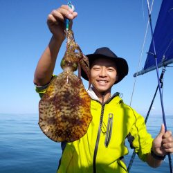 ひな丸 釣果