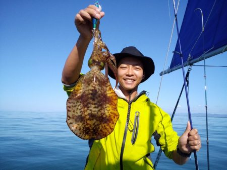 ひな丸 釣果