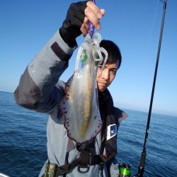 ひな丸 釣果