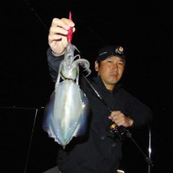 South Current 釣果