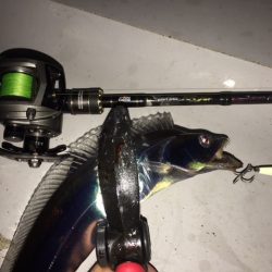 フルグロー20グラムで立て続けに3本☆LUMICAメタルジャッカー新色インプレッション