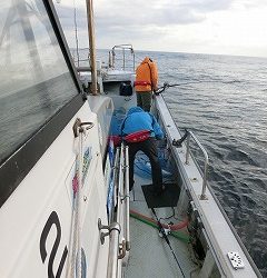 第二清洋丸 釣果