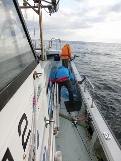 第二清洋丸 釣果