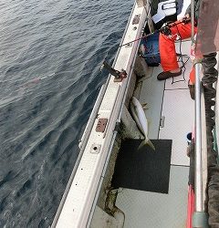 第二清洋丸 釣果