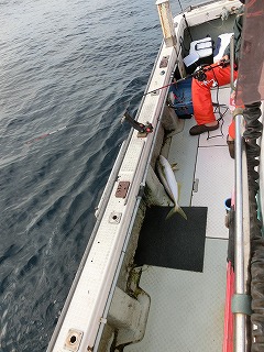 第二清洋丸 釣果